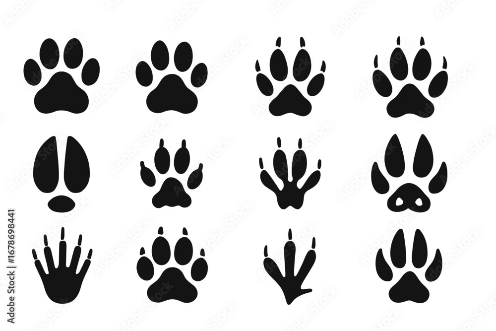 Fototapeta premium Diverse animal paw prints and tracks collection in black silhouette