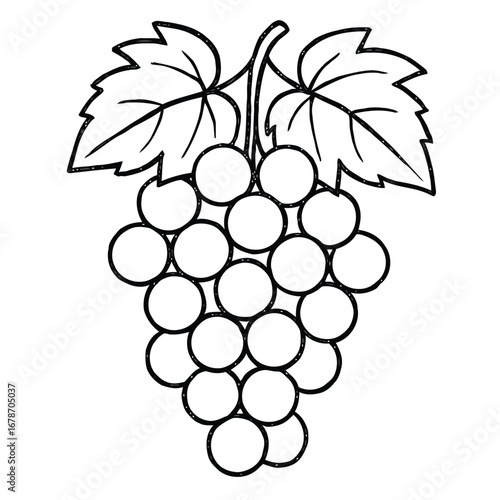 Detailed Outline Illustration of a Grape Cluster with Leaves, Perfect for Coloring Books or Botanical Designs