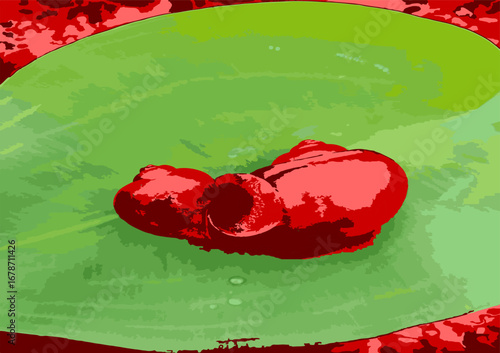 shellfish, amphibians 