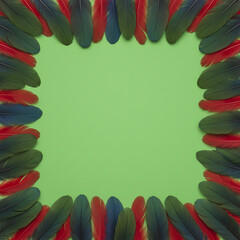 vibrant Turaco feathers arranged in a colorful border frame with central green screen copy space. Exotic, artistic, and ideal for creative design projects.