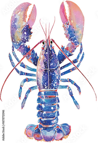 A watercolor blue and pink lobster.eps