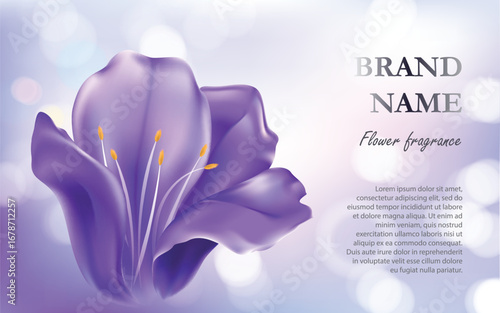 Cosmetic background with a purple flower 