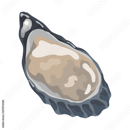 Oyster. Sea shell, cartoon icon. Ocean exotic underwater sink seashell aquatic mollusk. Tropical beach shells. Vector cartoon illustration