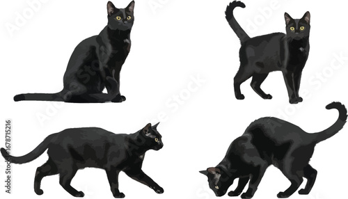 Four black cats in various poses, showcasing their sleek fur and graceful movements, perfect for petrelated projects and halloween themes