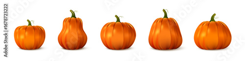 Pumpkin set in various shapes and sizes. Realistic orange gourds with green stems on white background. Autumn harvest, Thanksgiving, Halloween decoration concept. Vector illustration.