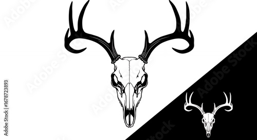 Deer skull graphic illustration minimalist design