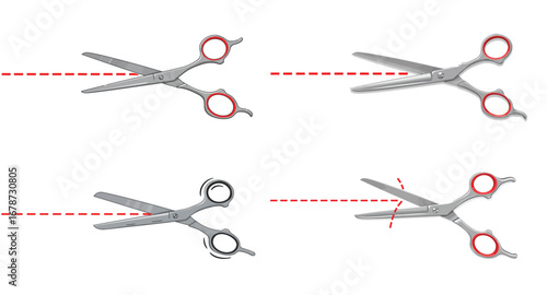 Scissors in action: a dynamic portrayal of cutting precision and movement