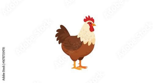 Illustrative farm rooster presenting classic poultry characteristics with a cartoon style,standing proud with its vibrant plumage on clean background