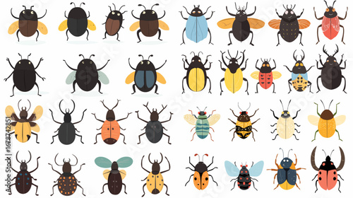 Insect diversity: A captivating array of diverse insects showcased against a clean backdrop. These detailed illustrations display the incredible variety of shapes, sizes.