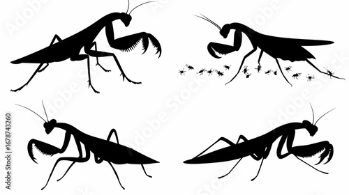 Praying Mantis Silhouette Collection: A collection of detailed praying mantis silhouettes, offering a striking visual of the insect's unique form and pose.