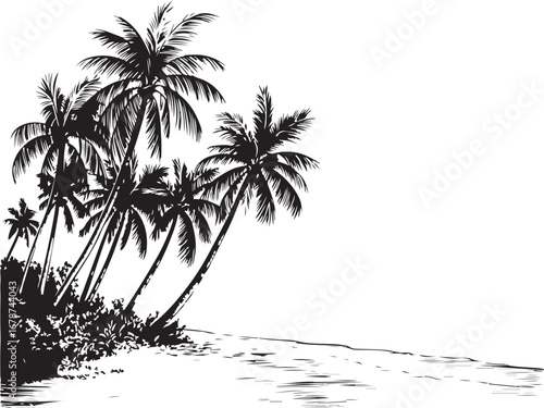 palm trees on the beach engraving outline vector art illustration design, palm tree silhouette, hand drawn beach drawing, line art palm tree, sea, beach, summer view, vintage palm tree on sea beach.