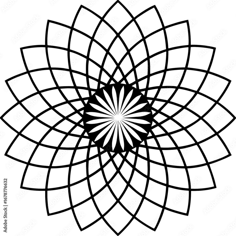 Obraz premium Minimilist geometric flower design with radiating petals and a central rosette in black and white pattern design vector