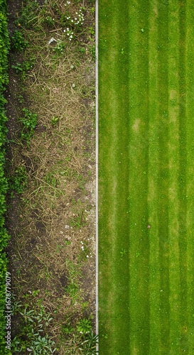 Wallpaper Mural Aerial view of a lawn, showing before and after lawn care with healthy green grass. Torontodigital.ca