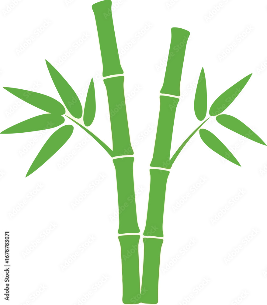 Fototapeta premium Vibrant green bamboo stalks with leaves symbolic of growth and nature vector
