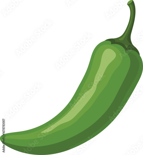 Vibrant green jalapeno pepper healthy food ingredient fresh produce spicy flavor cooking ingredient vector