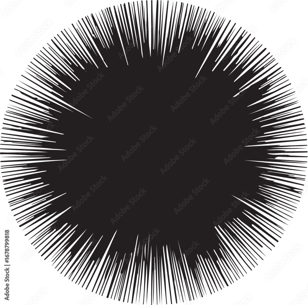 Fototapeta premium Half-circle with radiating lines in silhouette white background.