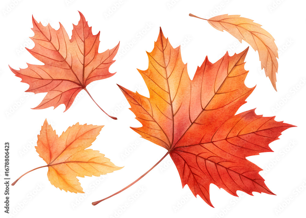 Autumn Leaves Collection PNG – Orange & Red Fall Foliage Watercolor Botanical Clipart for Sublimation Autumn Leaves Collection PNG – Orange & Red Fall Foliage Watercolor Botanical Clipart for Sublimation