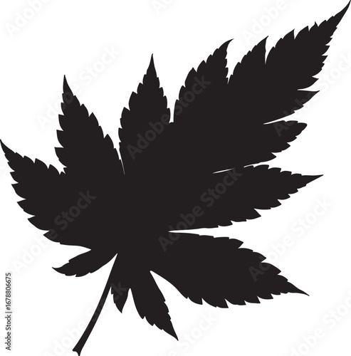 Leaf outline with silhouette image.