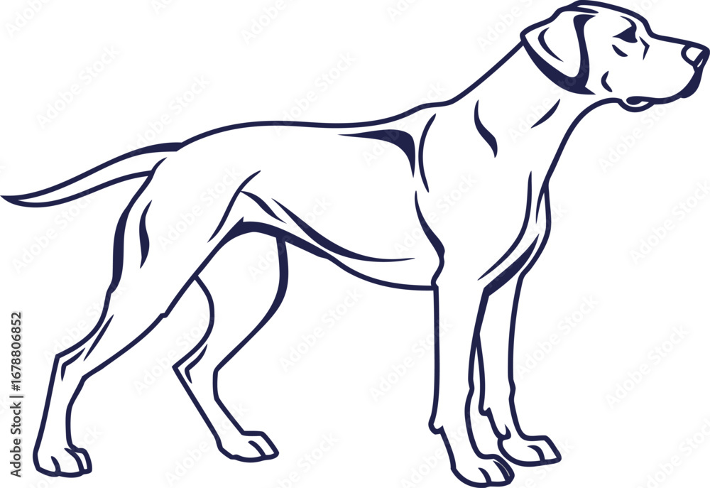 Fototapeta premium Dog Illustration. Cute Dog Artwork. Cartoon Dog Drawing. Realistic Dog Illustration. Puppy Artwork Design. Dog Portrait Illustration. Sitting Dog Drawing. Dog Breed Illustration