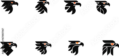 Black eagle head orange eye hawk bird
