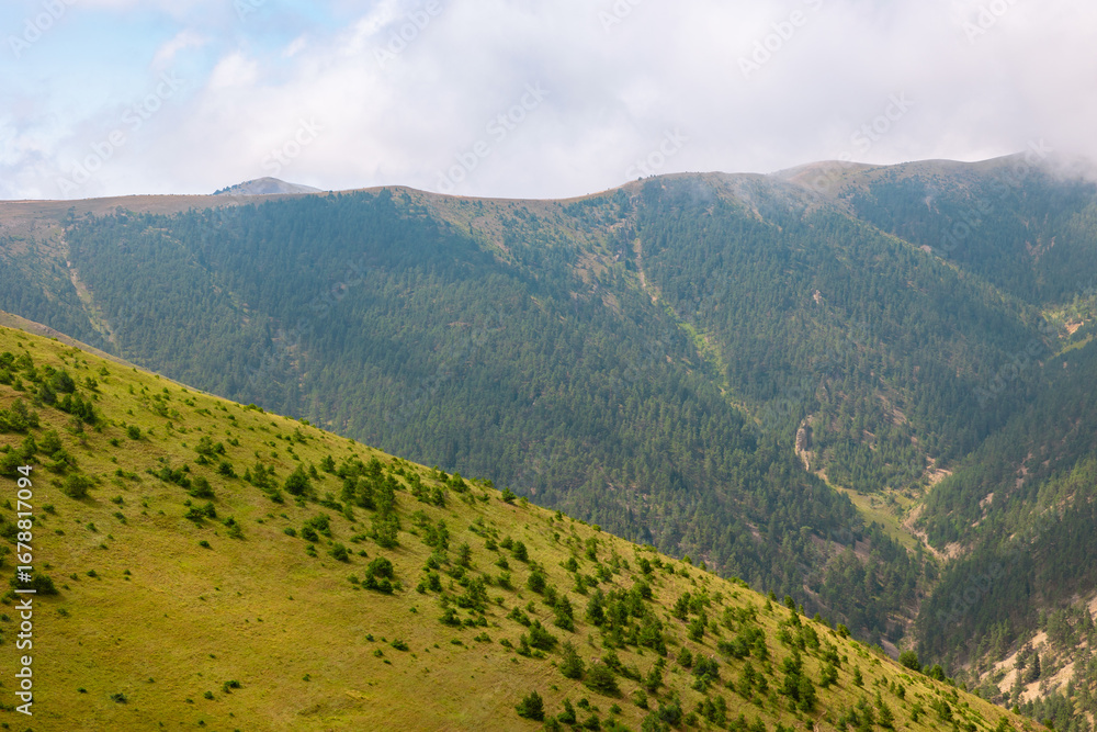 Fototapeta premium Forest covered mountain range and valley with clouds