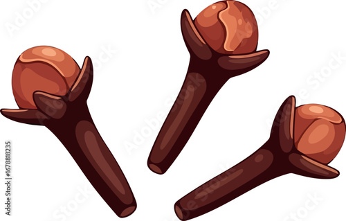 Dried cloves aromatic spice overhead shot healthy food ingredient culinary flavor enhancer vector