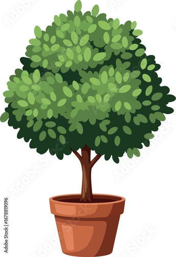 Lush green potted topiary tree vibrant foliage elegant garden decor vector