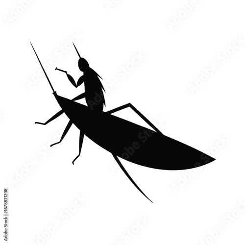 silhouette of a water-boatman