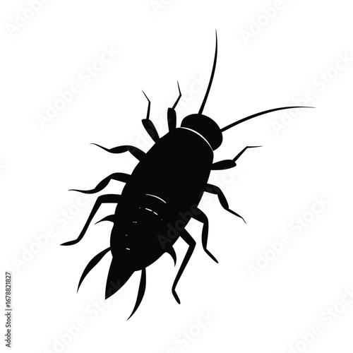 silverfish isolated on white background