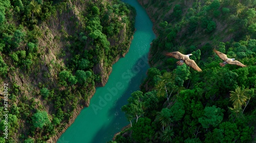 Birds flying above emerald river winding through a jungle canyon capturing the lush verticality of tropical terrain