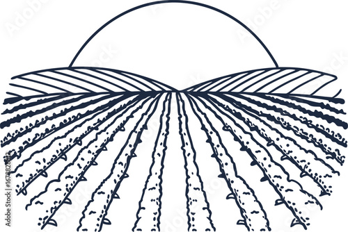 Cultivated farmland with rising sun, crop rows, and hills agriculture landscape, rural farming sunrise background