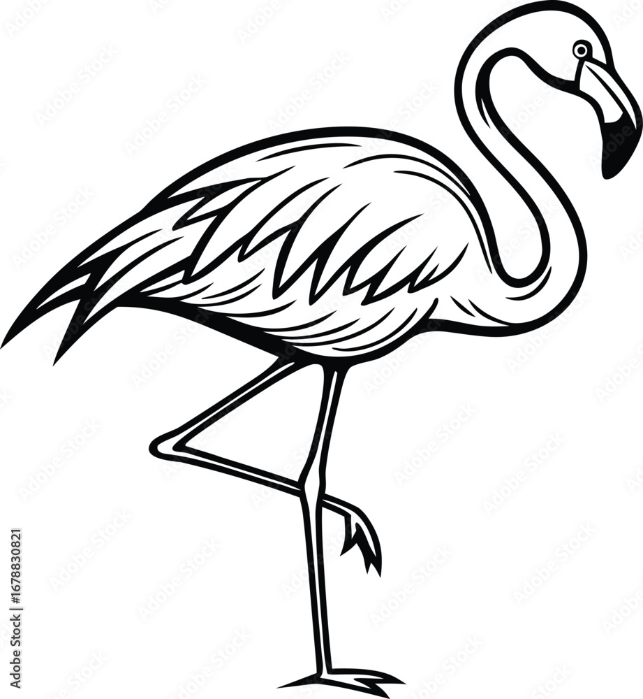 Fototapeta premium Flamingo Illustration. Pink Flamingo Artwork. Tropical Flamingo Drawing. Realistic Flamingo Illustration. Standing Flamingo Artwork. Flying Flamingo Illustration. Exotic Flamingo Drawing