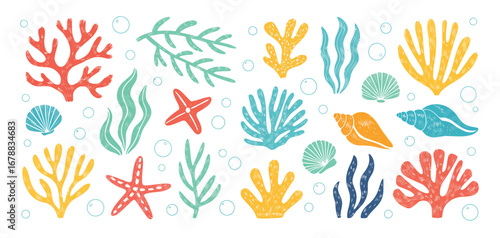 Hand drawn aquarium plants, underwater ocean flora, seashell, algae, starfish. Vector marine plants and animals of the seabed. Flat cartoon illustration