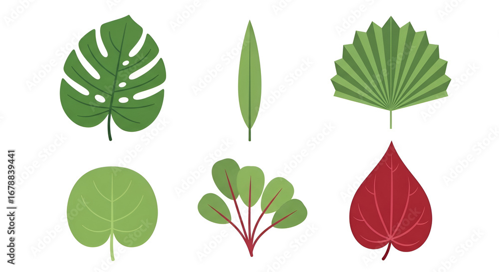 Fototapeta premium Diverse Stylized Botanical Leaves Collection