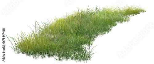 grass isolated on white background/Green grass meadow field with fresh foliage, natural lawn landscape outdoors.