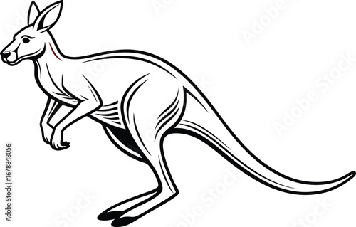 Kangaroo Illustration. Realistic Kangaroo Artwork. Wild Kangaroo Drawing. Jumping Kangaroo Illustration. Kangaroo Family Artwork. Baby Kangaroo Drawing. Australian Kangaroo Illustration
