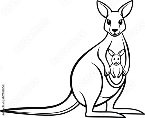 Kangaroo Illustration. Realistic Kangaroo Artwork. Wild Kangaroo Drawing. Jumping Kangaroo Illustration. Kangaroo Family Artwork. Baby Kangaroo Drawing. Australian Kangaroo Illustration