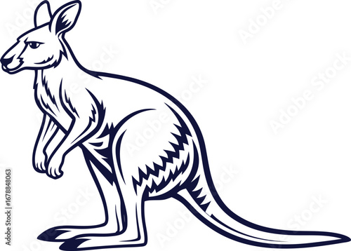 Kangaroo Illustration. Realistic Kangaroo Artwork. Wild Kangaroo Drawing. Jumping Kangaroo Illustration. Kangaroo Family Artwork. Baby Kangaroo Drawing. Australian Kangaroo Illustration