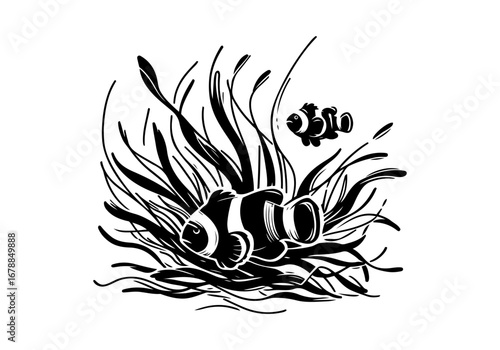 Clownfish Hand Drawn Sketch Vector Illustration by AZ for Books, Arts, Design and Decoration Graphic Asset
