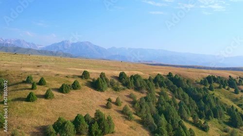 Kazakh steppes with scattered trees and majestic Tian Shan mountains in the background.
