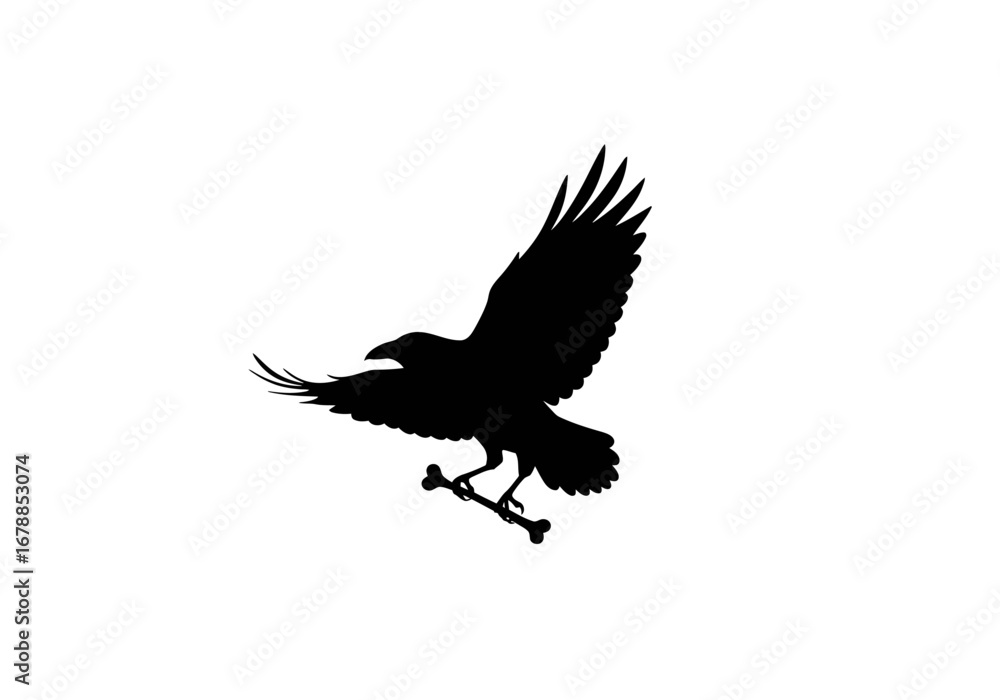 Obraz premium Flying Crow Silhouette Carrying Bone.