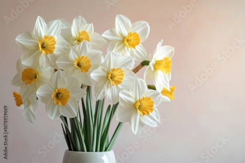 Wallpaper Mural White Daffodils with Yellow Centers in a White Vase narcissus flower Torontodigital.ca