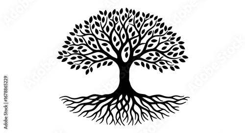 Black and white tree roots graphic design