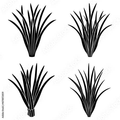 Four stylized clumps of grass with long thin blades arranged in a symmetrical and simple design