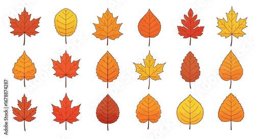 Vector Icons Set of A diverse collection of colorful autumn leaves illustrations on a white background. EPS Editable