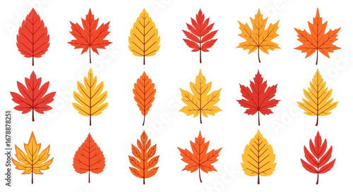 Vector Icons Set of Vibrant collection of colorful autumn fall leaves vector illustration set. EPS Editable