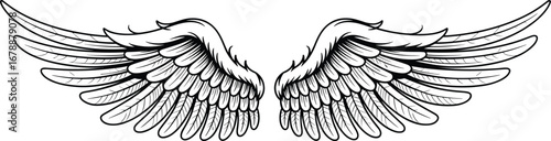 Angel wings line art, feathered symmetrical wings vector, black and white sketch, bird flight wings drawing, fantasy tattoo design, hand drawn feather illustration
