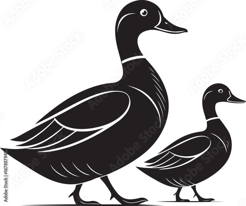 Two ducks walking side by side, parent and child birds