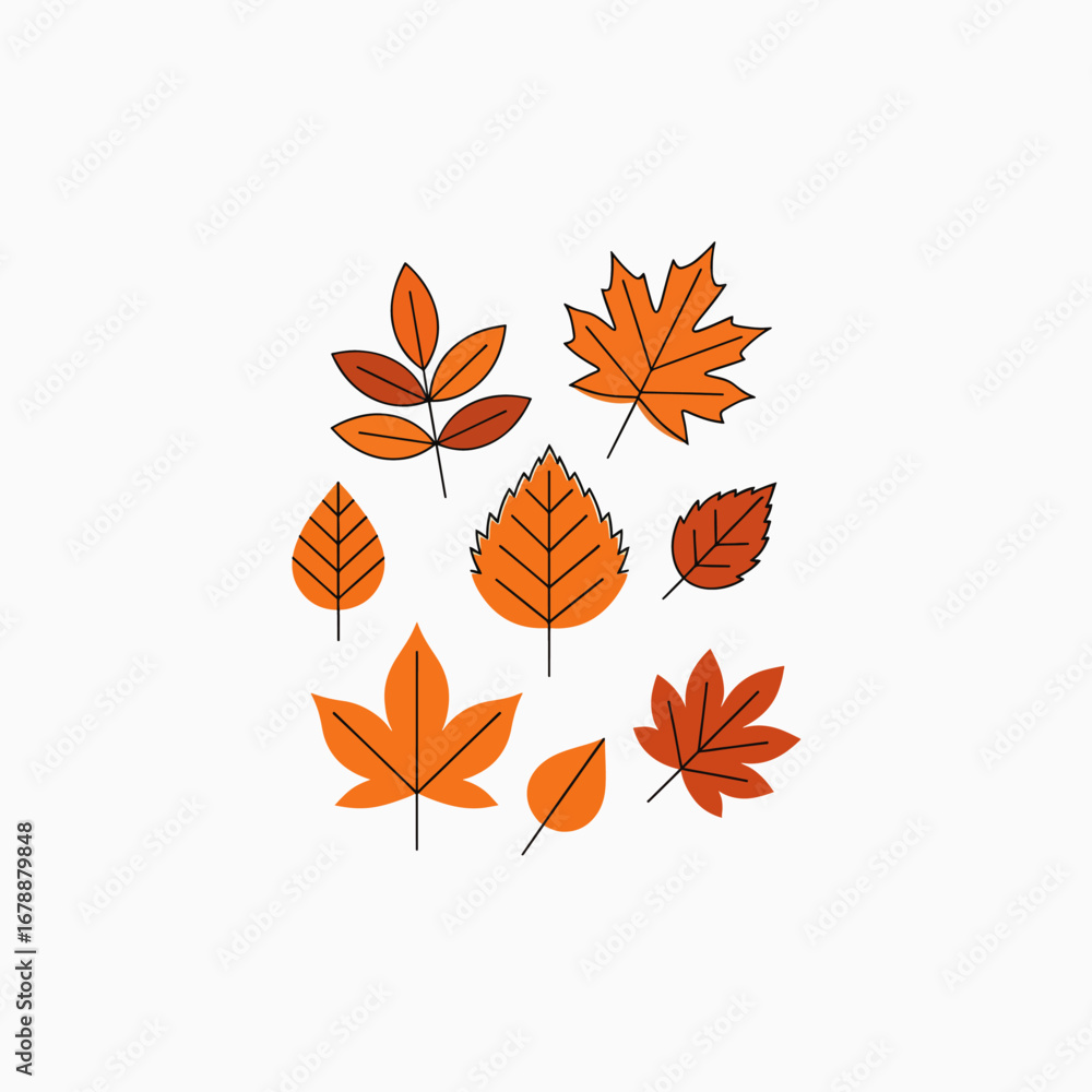 Obraz premium Collection of Various Autumn Leaf Illustrations