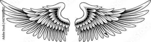 Detailed angel wings illustration, black and white vector wings, symmetrical feathered wings, hand drawn style, fantasy line art, tattoo design, bird wing drawing